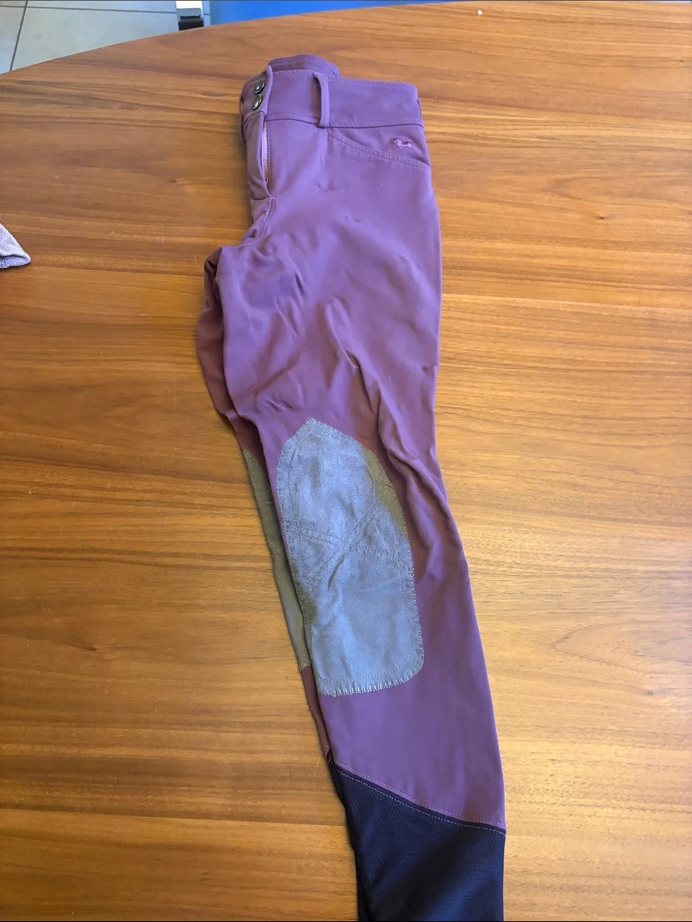 RJ Classics Plum Size 12 Children's Front Zip Breeches
